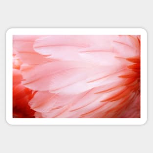 Flamingo Feathers Sticker